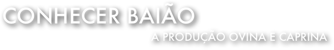 Conhecer Baião 
A Produção Ovina e caprina