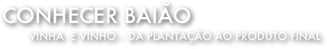 Conhecer Baião
Vinha  e Vinho -  DA plantação ao produto final